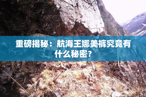 重磅揭秘：航海王娜美裤究竟有什么秘密？