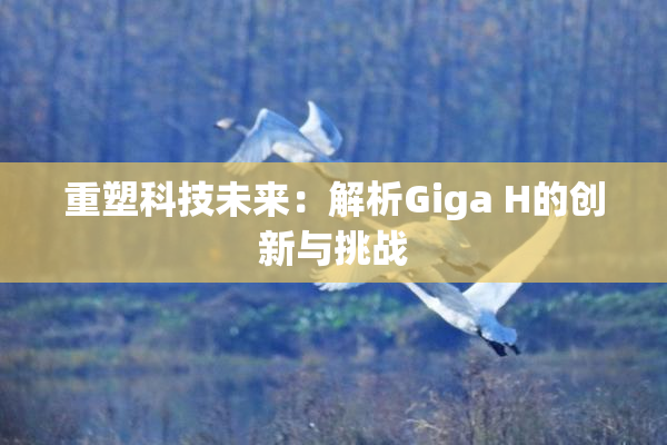 重塑科技未来：解析Giga H的创新与挑战