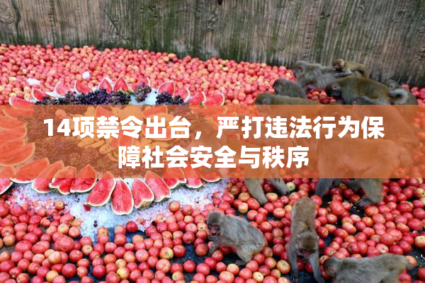 14项禁令出台，严打违法行为保障社会安全与秩序
