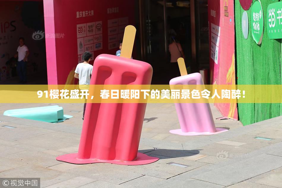 91樱花盛开，春日暖阳下的美丽景色令人陶醉！