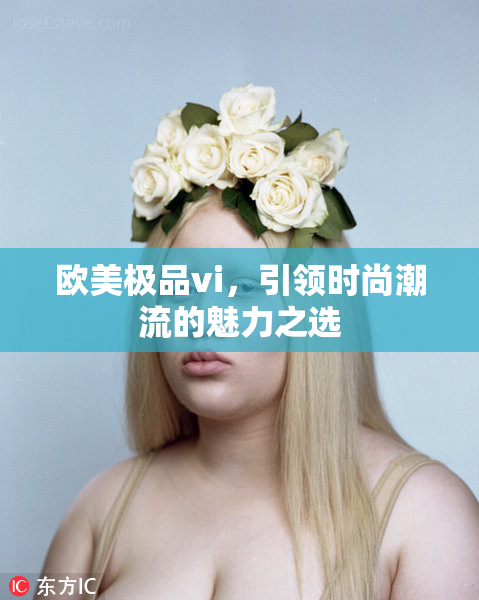 欧美极品vi，引领时尚潮流的魅力之选