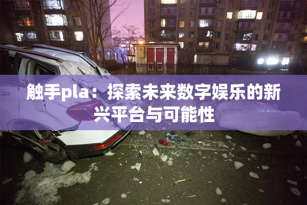 触手pla：探索未来数字娱乐的新兴平台与可能性