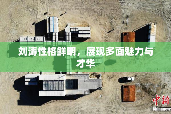 刘涛性格鲜明，展现多面魅力与才华
