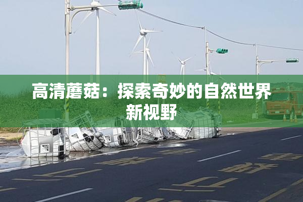 高清蘑菇：探索奇妙的自然世界新视野