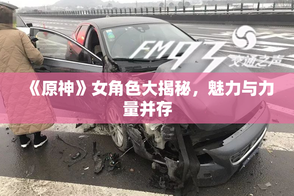 《原神》女角色大揭秘，魅力与力量并存