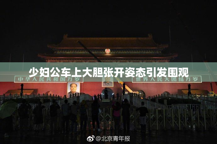 少妇公车上大胆张开姿态引发围观