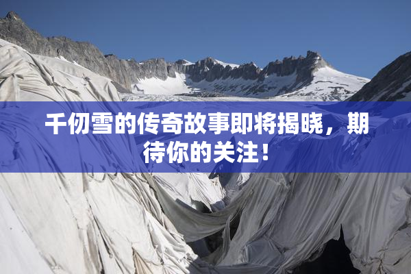 千仞雪的传奇故事即将揭晓，期待你的关注！