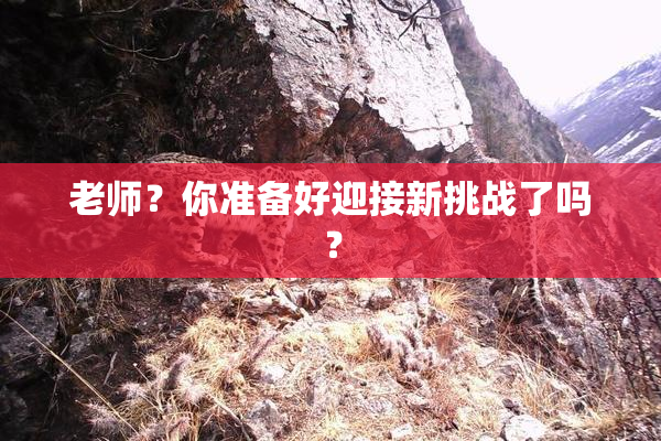 老师？你准备好迎接新挑战了吗？