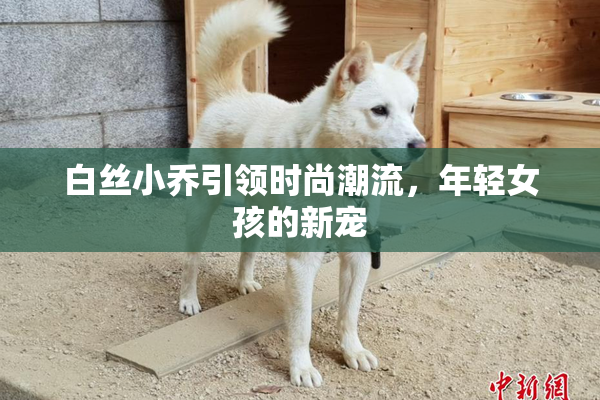 白丝小乔引领时尚潮流，年轻女孩的新宠