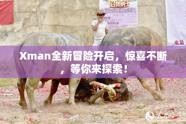 Xman全新冒险开启，惊喜不断，等你来探索！