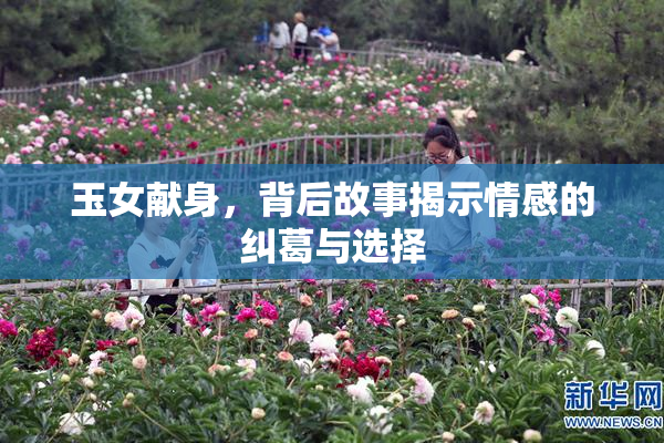 玉女献身，背后故事揭示情感的纠葛与选择