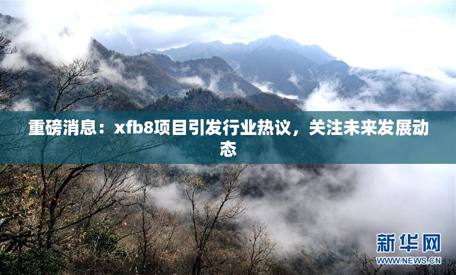 重磅消息：xfb8项目引发行业热议，关注未来发展动态