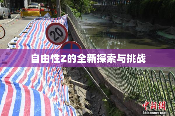 自由性Z的全新探索与挑战