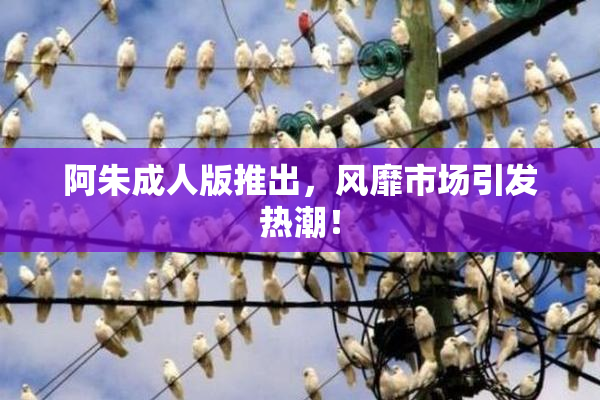 阿朱成人版推出，风靡市场引发热潮！