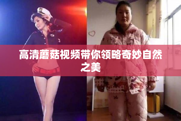 高清蘑菇视频带你领略奇妙自然之美
