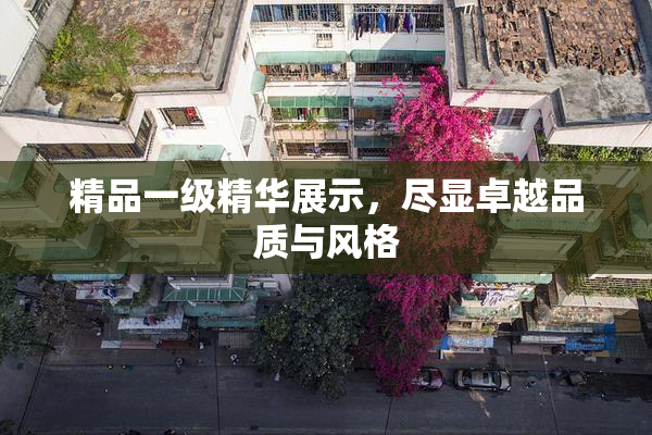 精品一级精华展示，尽显卓越品质与风格