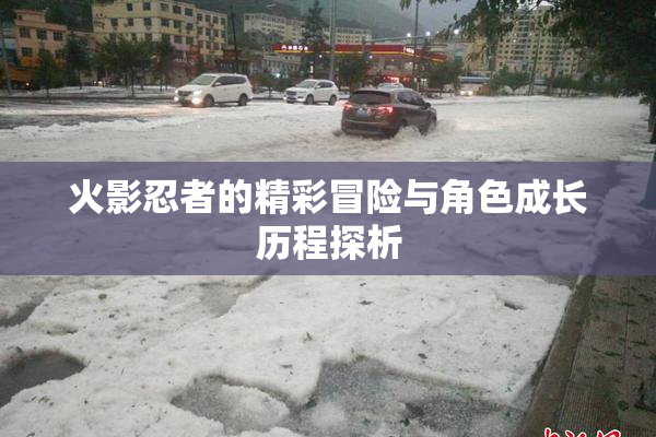 火影忍者的精彩冒险与角色成长历程探析