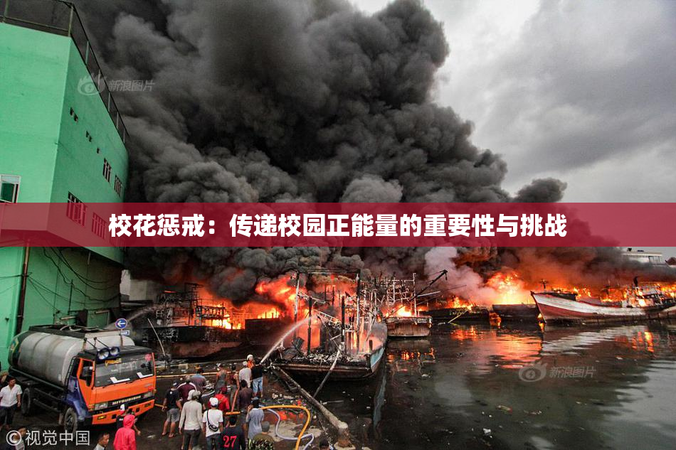 校花惩戒：传递校园正能量的重要性与挑战