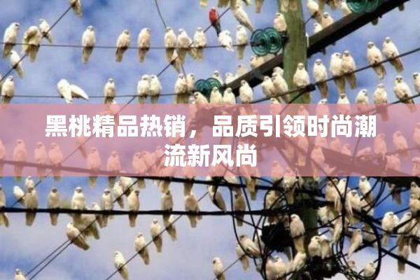 黑桃精品热销，品质引领时尚潮流新风尚