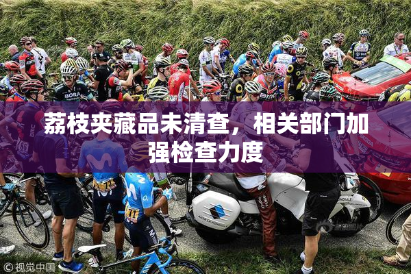 荔枝夹藏品未清查，相关部门加强检查力度