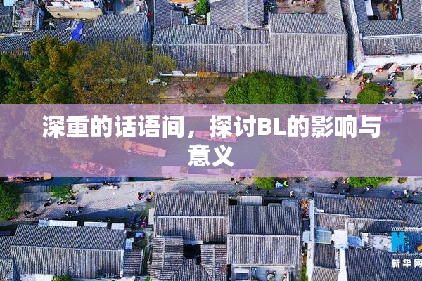 深重的话语间，探讨BL的影响与意义