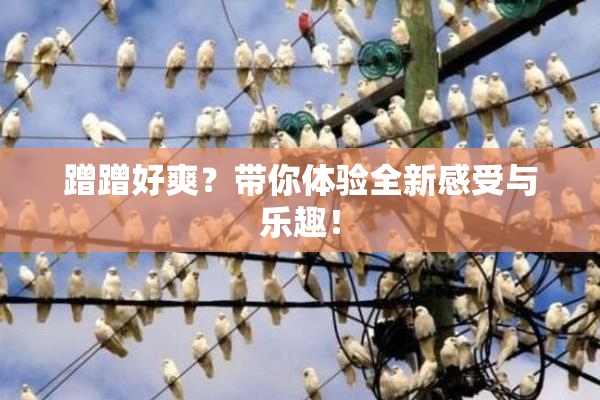 蹭蹭好爽？带你体验全新感受与乐趣！