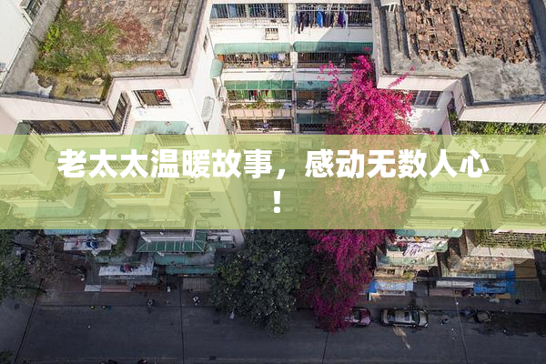 老太太温暖故事，感动无数人心！