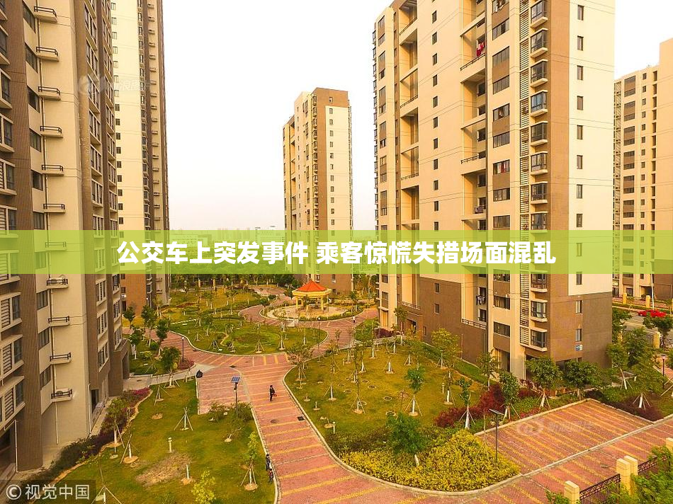 公交车上突发事件 乘客惊慌失措场面混乱
