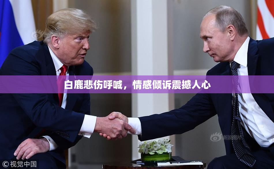 白鹿悲伤呼喊，情感倾诉震撼人心