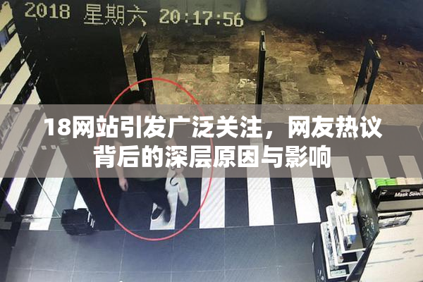 18网站引发广泛关注，网友热议背后的深层原因与影响