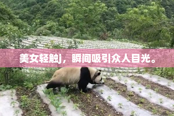 美女轻触j，瞬间吸引众人目光。