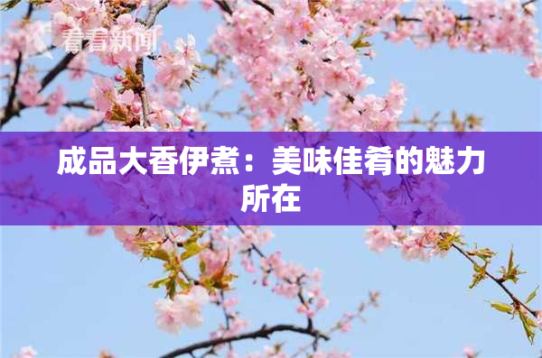 成品大香伊煮：美味佳肴的魅力所在