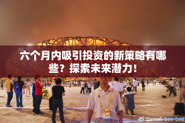 六个月内吸引投资的新策略有哪些？探索未来潜力！