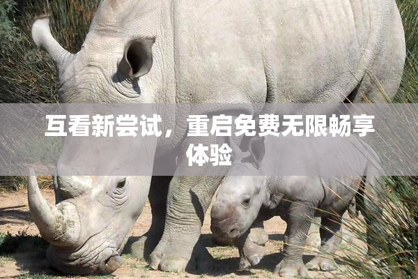 互看新尝试，重启免费无限畅享体验