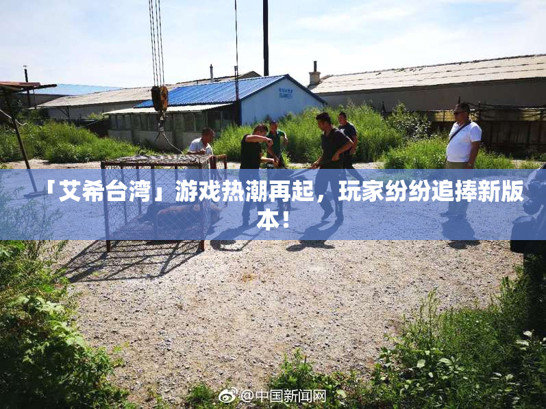 「艾希台湾」游戏热潮再起，玩家纷纷追捧新版本！