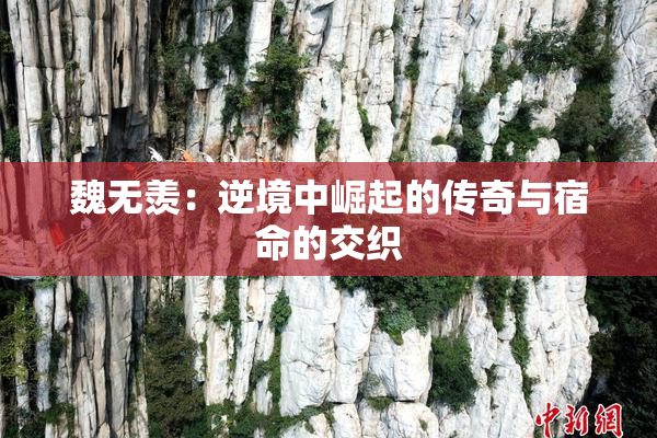 魏无羡：逆境中崛起的传奇与宿命的交织