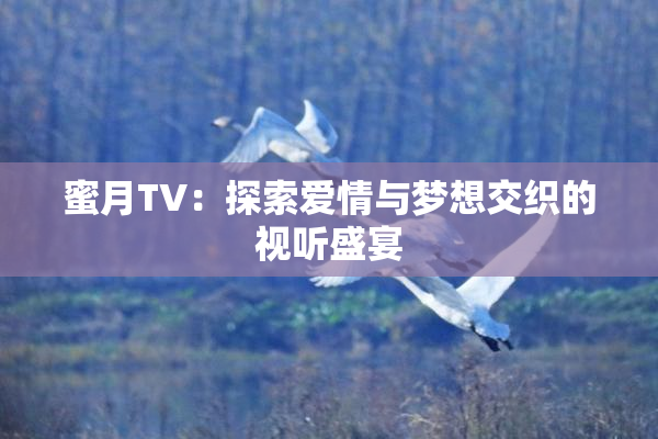 蜜月TV：探索爱情与梦想交织的视听盛宴