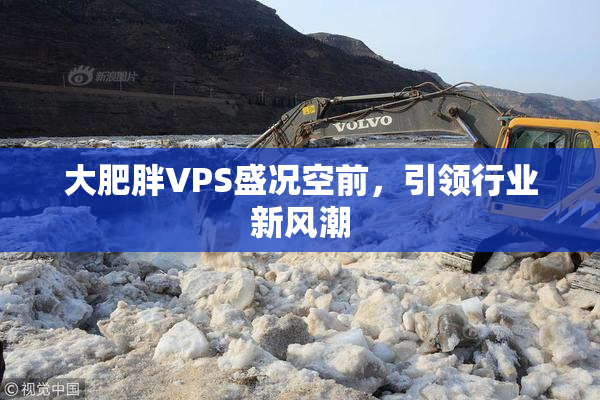 大肥胖VPS盛况空前，引领行业新风潮