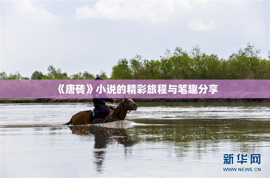 《唐砖》小说的精彩旅程与笔趣分享