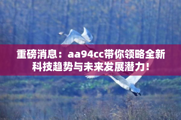 重磅消息：aa94cc带你领略全新科技趋势与未来发展潜力！