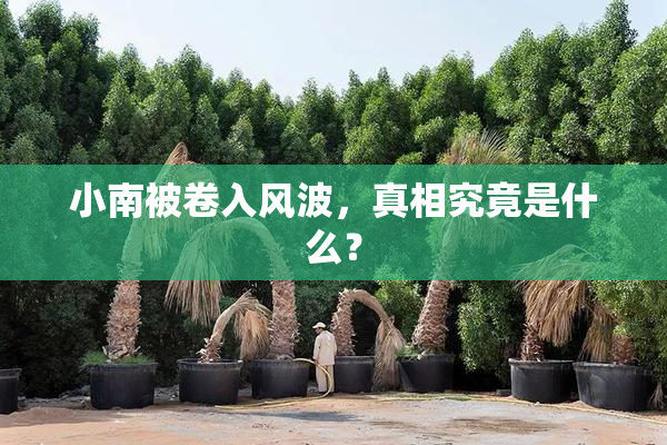 小南被卷入风波，真相究竟是什么？