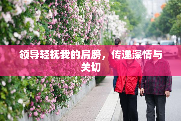 领导轻抚我的肩膀，传递深情与关切