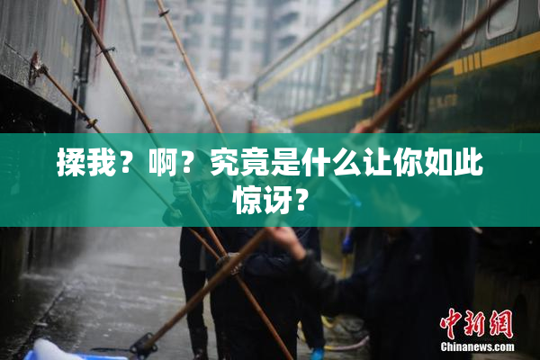 揉我？啊？究竟是什么让你如此惊讶？