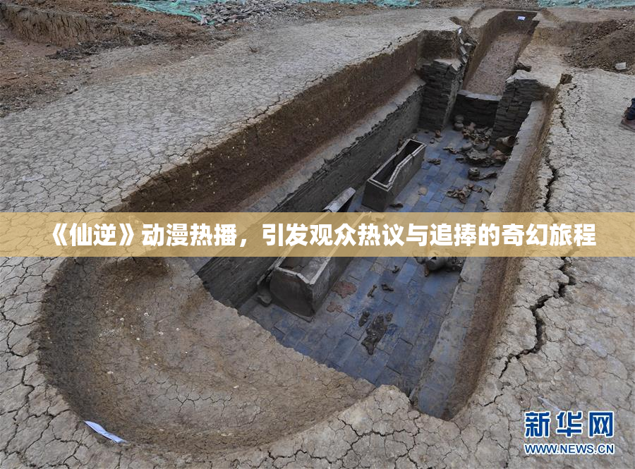 《仙逆》动漫热播，引发观众热议与追捧的奇幻旅程