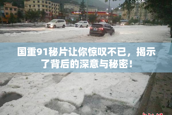 国重91秘片让你惊叹不已，揭示了背后的深意与秘密！