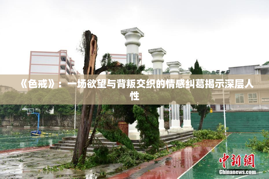 《色戒》：一场欲望与背叛交织的情感纠葛揭示深层人性