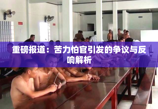 重磅报道：苦力怕官引发的争议与反响解析