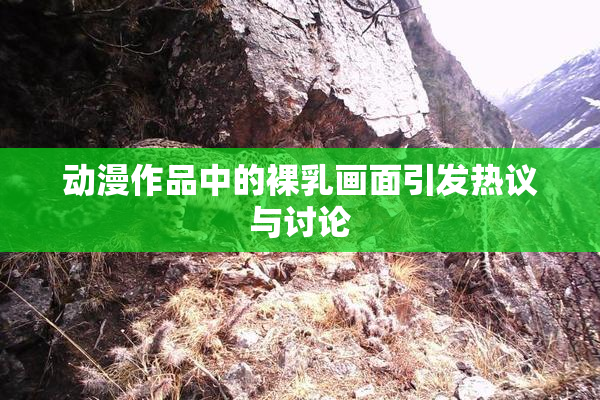 动漫作品中的裸乳画面引发热议与讨论
