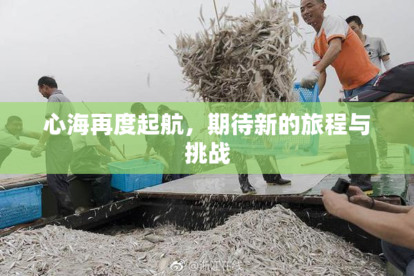 心海再度起航，期待新的旅程与挑战