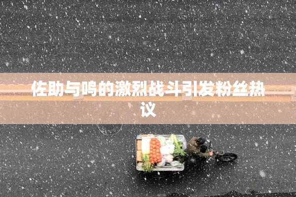 佐助与鸣的激烈战斗引发粉丝热议